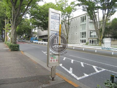 大通り