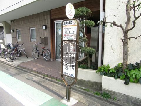 大通り