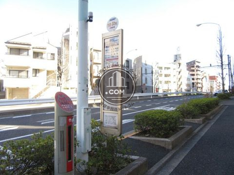 大通り