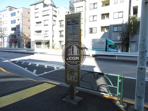 大通り