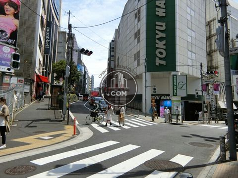 大通り