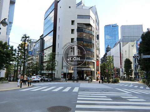 大通り
