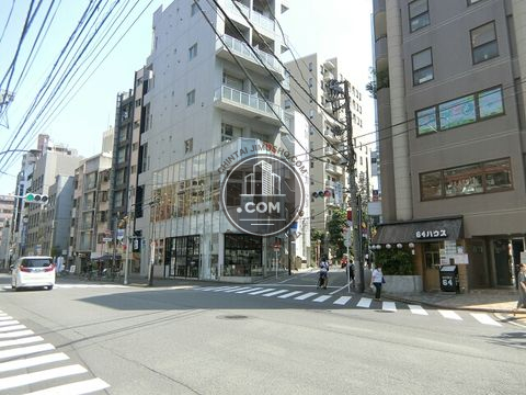 大通り