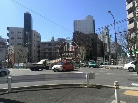 大通り