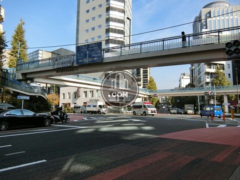 大通り