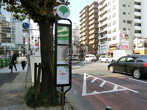 大通り