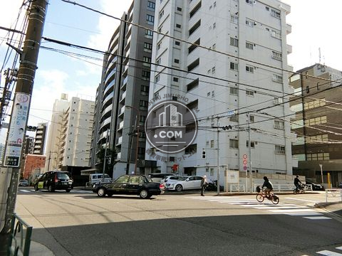 大通り