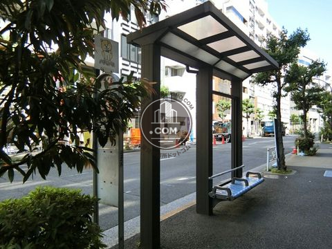 大通り