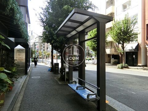 大通り