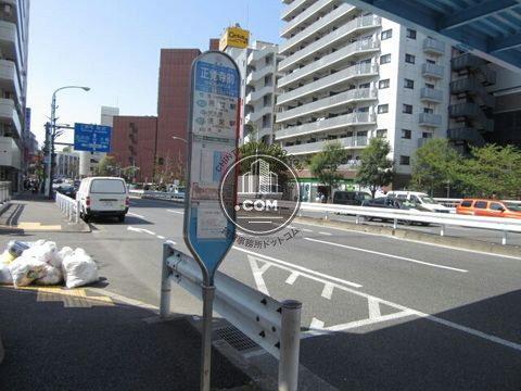 大通り