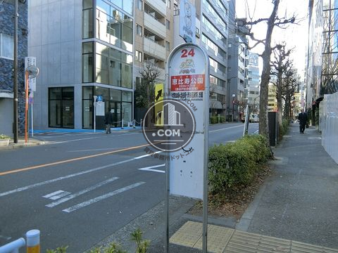 大通り