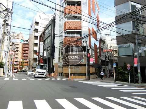 大通り