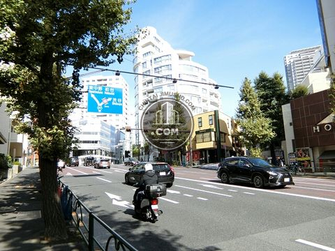 大通り