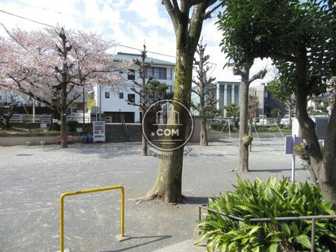 裏路地