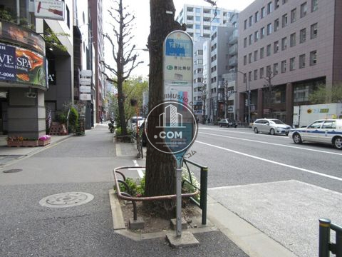 大通り