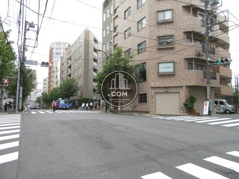 大通り