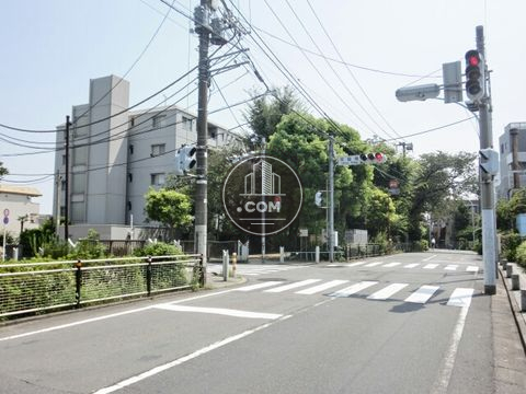 大通り