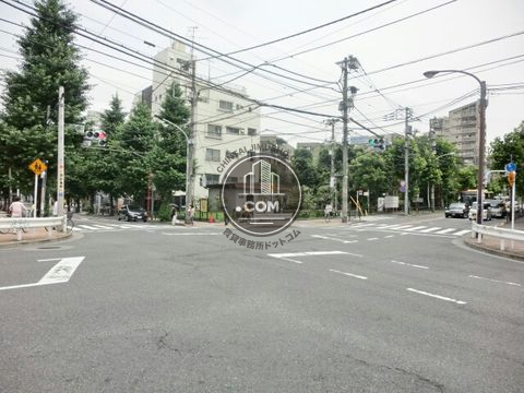 大通り