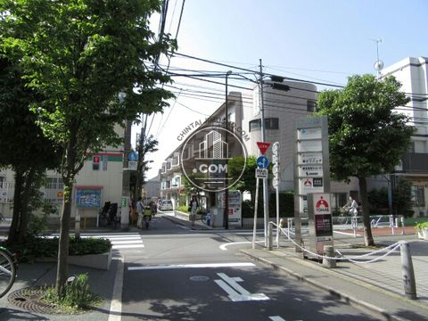 大通り