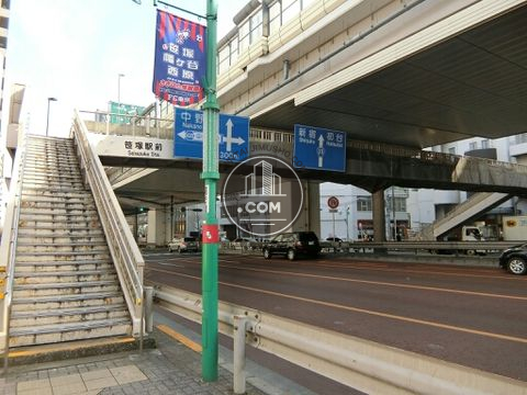 大通り