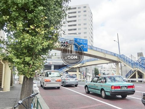 大通り