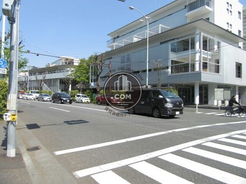 大通り
