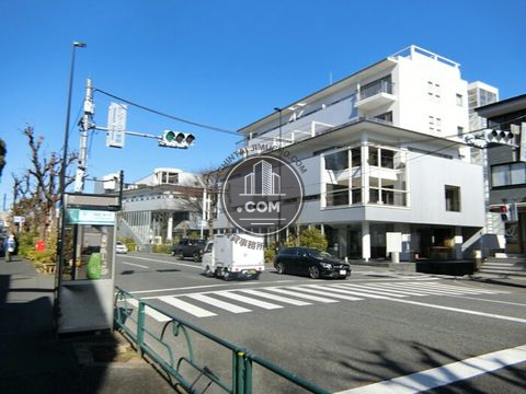 大通り