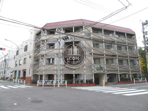 大通り
