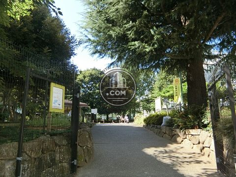 裏路地
