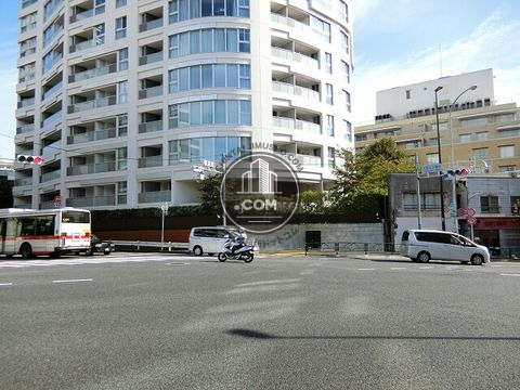 大通り