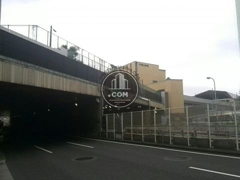 大通り