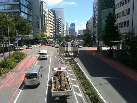 大通り