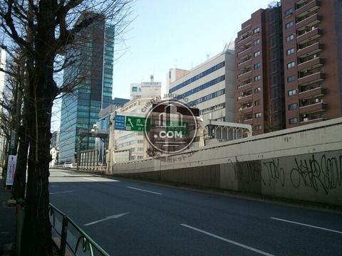 大通り