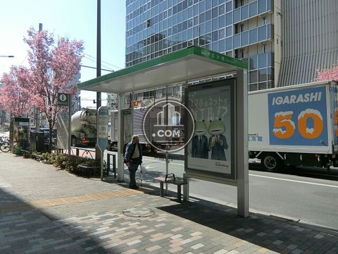 大通り
