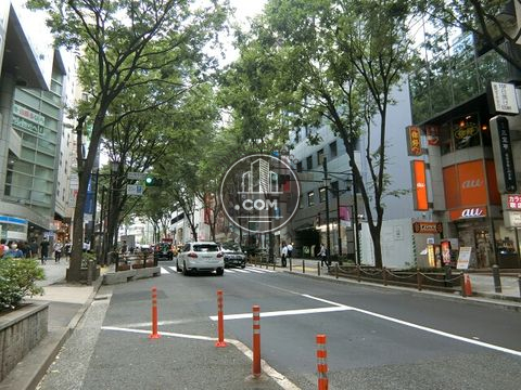 大通り