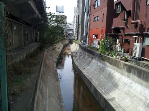 八幡橋からの渋谷川