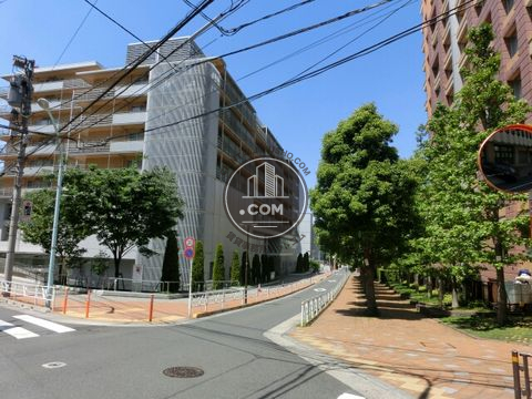 裏路地