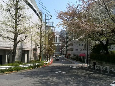 大通り