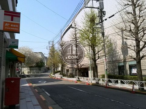 大通り