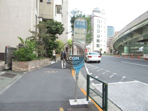 大通り