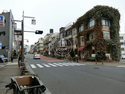 大通り