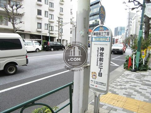 大通り