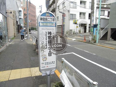 大通り