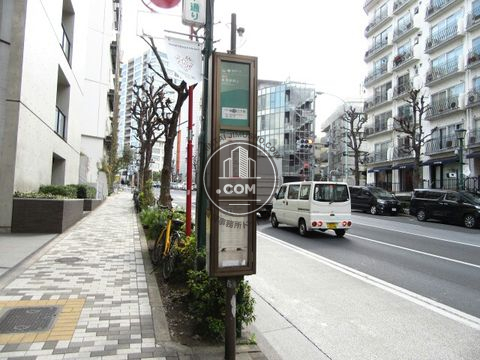 大通り