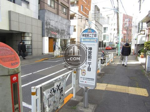 大通り