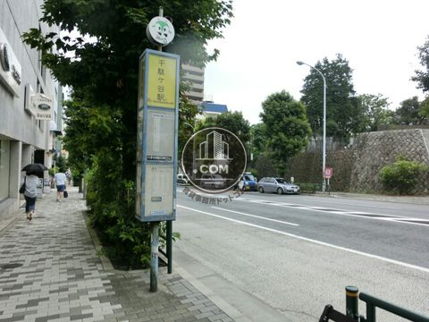 大通り
