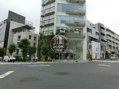 大通り