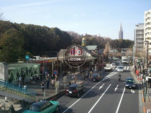 駅周辺