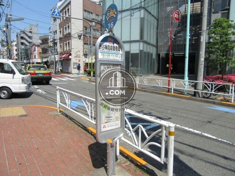 大通り