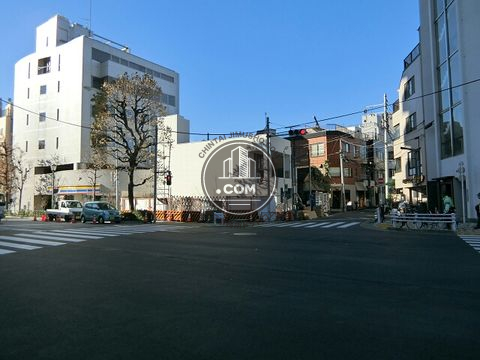 大通り